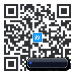 系统版 iOS 二维码